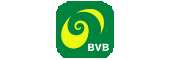 bvb