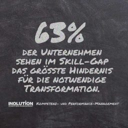 Skill-Gap als Hindernis