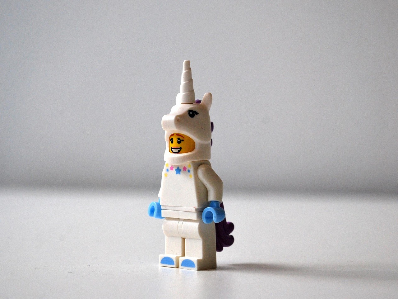 Die kompetenzbasierte Organisation: Realität oder Einhorn? Die kompetenzbasierte Organisation: Realität oder Einhorn?