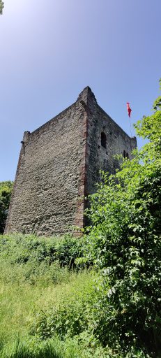 Dreharbeiten Muttenz Mittlere Ruine Wartenberg (1)