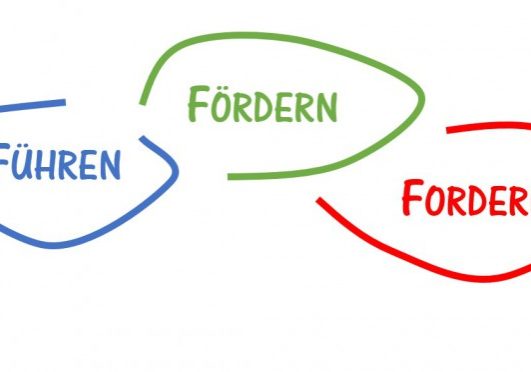 Führen Fördern Fordern